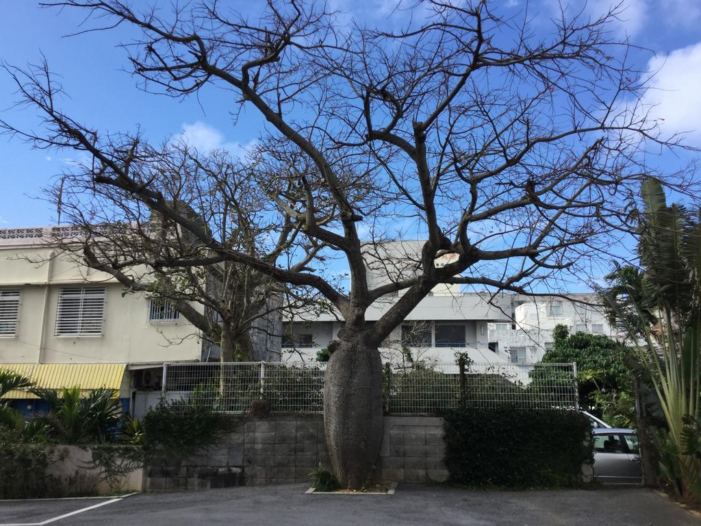 Hotel Peace Island Miyakojima Exterior photo